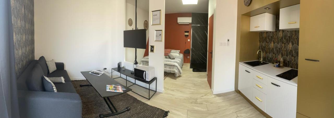 Studio Cosy Tt Confort Proche Aeroport Colombier-Saugnieu Exteriér fotografie